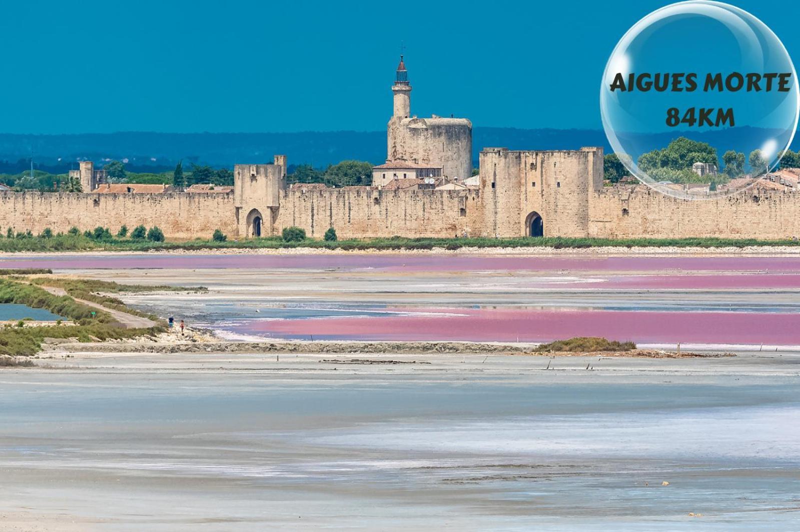 Le Cosy Du Gal, A 2 Pas Du Palais Des Papes Parking Gratuit Securise Appartement Avignon Buitenkant foto