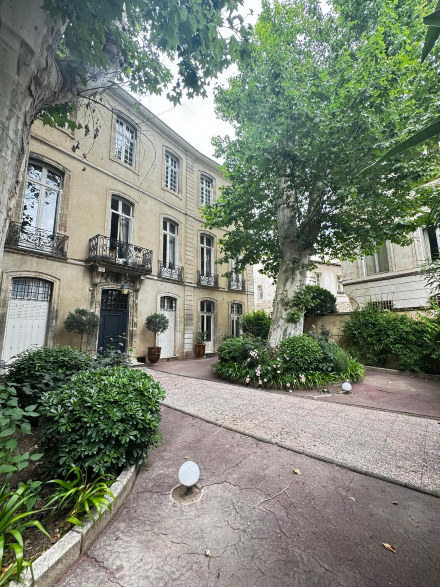 Le Cosy Du Gal, A 2 Pas Du Palais Des Papes Parking Gratuit Securise Appartement Avignon Buitenkant foto