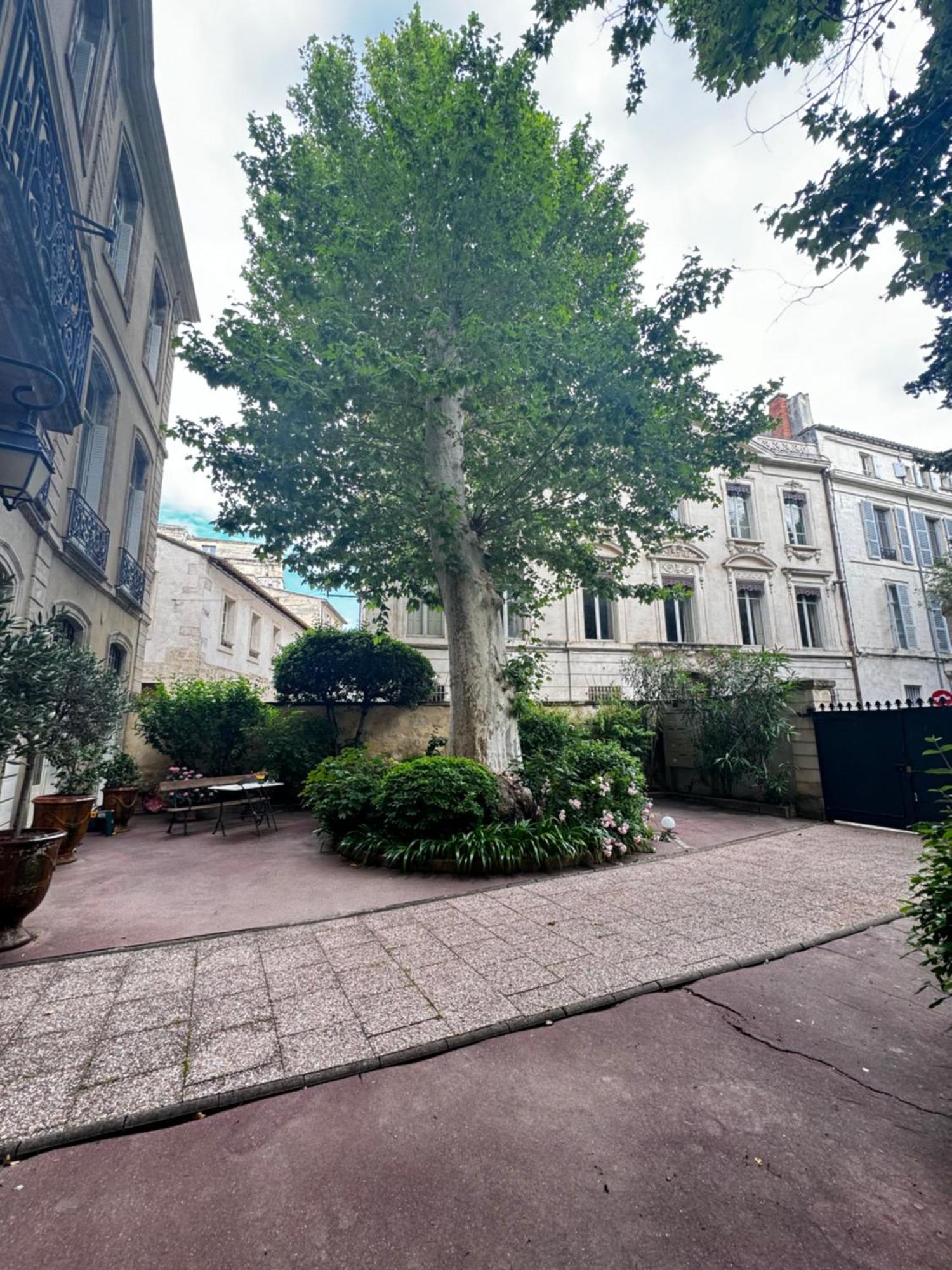 Le Cosy Du Gal, A 2 Pas Du Palais Des Papes Parking Gratuit Securise Appartement Avignon Buitenkant foto